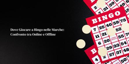 Dove giocare a Bingo nelle Marche: confronto tra online e offline