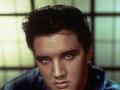 Mostra di cimeli di Elvis Presley al Summer Jamboree di Senigallia