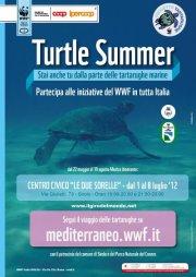 Turtle Summer - Mostra Tartarughe