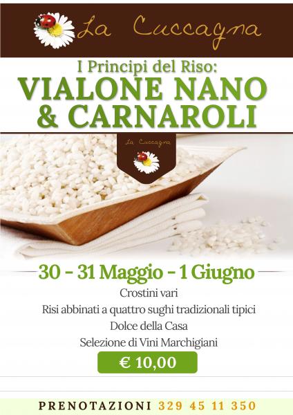 I Principi del Riso: Vialone Nano & Carnaroli