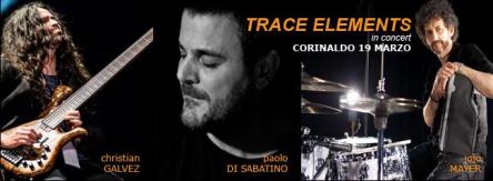 TRACE ELEMENTS  IN CONCERTO
