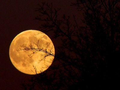 Notte di luna piena al Conero