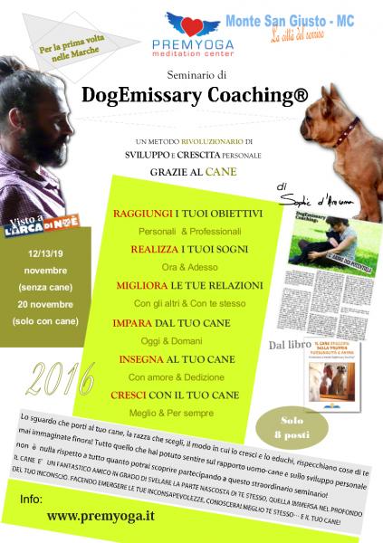 Dogemissary coaching