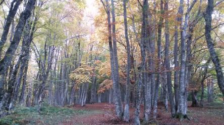 I colori dell'autunno a Castelluccio