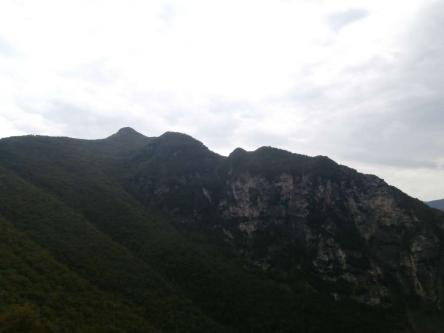 Visita all'Infiorata di Cupramontana e salita al Monte Revellone