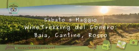 WineTrekking del Parco del Conero: la Baia, le Cantine, il Rosso