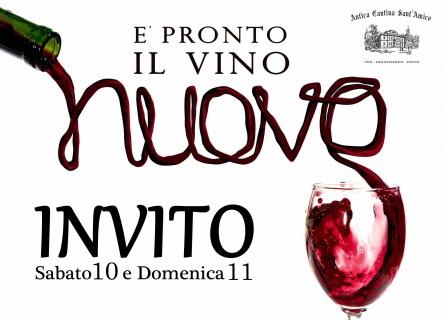 Weekend con il Vino Nuovo in cantina storica