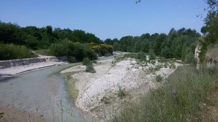 Risalendo il fiume Cesano coi piedi in acqua