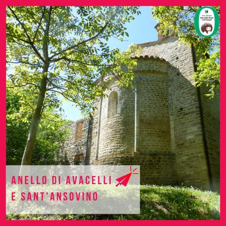 Escursione - Anello Avacelli e Sant'Ansovino
