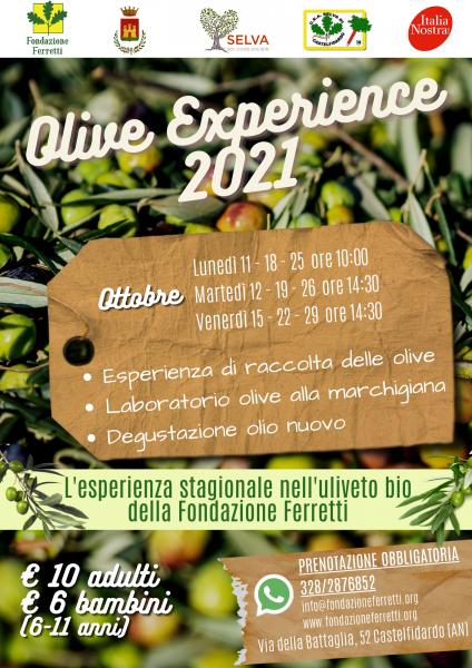 OLIVE EXPERIENCE 2021