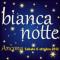 Bianca Notte - La Notte Bianca di Ancona