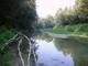 Alla scoperta dell'ambiente di Senigallia: il fiume Misa
