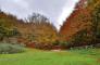 Il Ponticello -  Foliage: escursione fotografica sui colori d’autunno al Furlo!