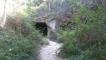 Escursione nel Conero nascosto: Grotte Romane e Incisioni Rupestri