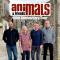 Animals & Friends 60th Anniversary Tour