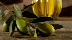 Gli oli marchigiani in festa