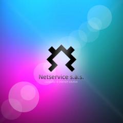 I siti internet realizzati da Netservice: grafica, applicazioni web I siti internet realizzati da Netservice: grafica, applicazioni web