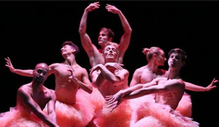 Una compagnia ironica e irriverente da non perdere: Chicos Mambo con Tutu! Una compagnia ironica e irriverente da non perdere: Chicos Mambo con Tutu!