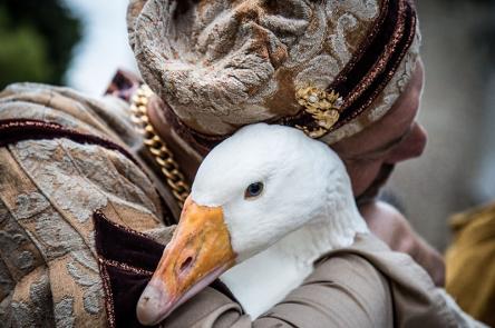 Festa Castellana: Scapezzano di Senigallia si prepara alla XXIII edizione