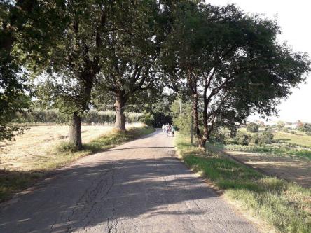 Escursioni e passeggiate alla Festa dell'Olio Nuovo di Scapezzano Escursioni e passeggiate alla Festa dell'Olio Nuovo di Scapezzano