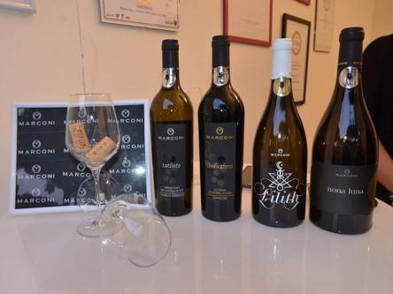 Il Calice Racconta: il 23 aprile una domenica alla scoperta dei vini marchigiani