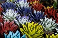 58^ Mostra Mercato dei Fiori e delle Piante Ornamentali