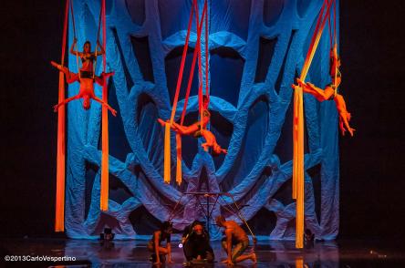 PARTE DA ANCONA IL TOUR NAZIONALE DEGLI ACROBATI SONICS CON LO SPETTACOLO 