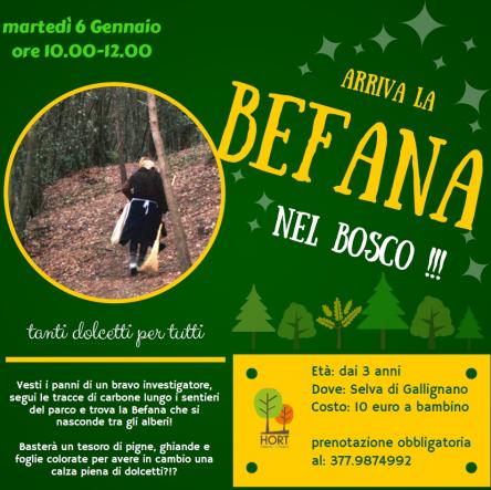 Arriva la Befana nel bosco!