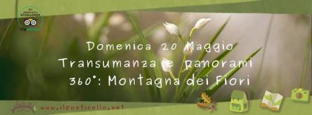 L’antica pratica della Transumanza e panorami a 360°: la Montagna dei Fiori