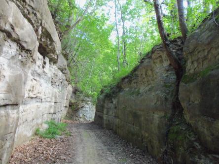 La sorpresa di un canyon nel bosco: il Sasso Spaccato