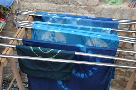 Dalle piante, la magia dei colori