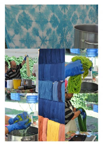 Dalle piante, la magia dei colori