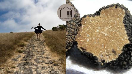 Passeggiata Ostra / Morro d'Alba * Festa della Lacrima e Tartufo