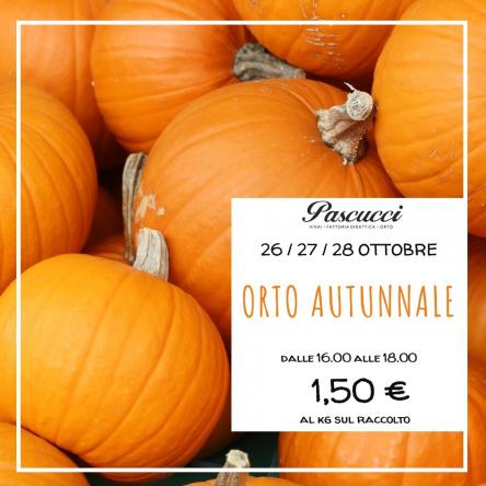 il piacere dell'orto