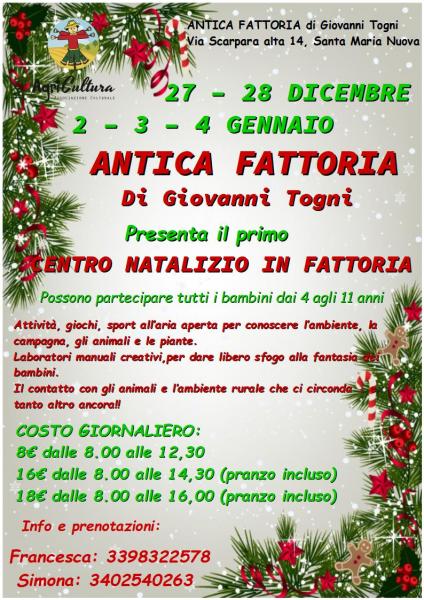 Centro Natalizio in fattoria