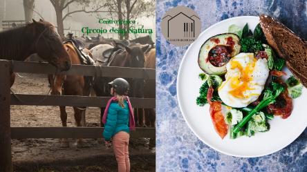 Cavallo che parla, uomo che ascolta * Cavallo, pony e brunch