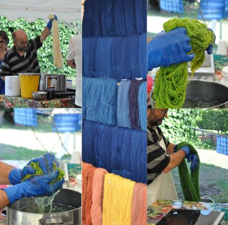 Dalle piante, la magia dei colori