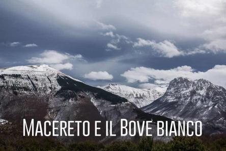 Macereto e il Bove bianco