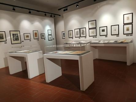 La magia del segno incisorio