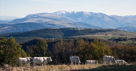 La primavera della Valle di Roti