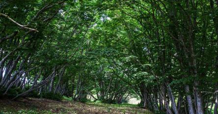 PASQUETTA A VALLE SCUROSA CON PRANZO AL RIFUGIO