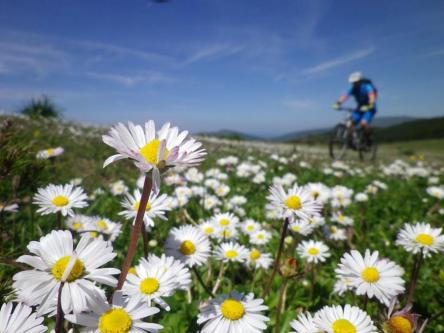 I prati del Vermenone