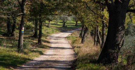 Da Spello ad Assisi in bici