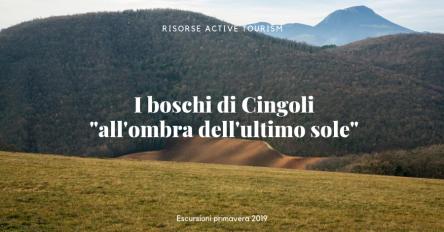 I boschi di Cingoli 