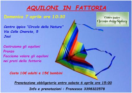 aquiloni in maneggio