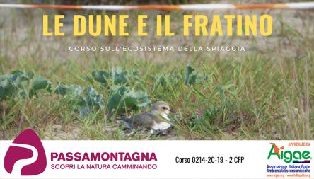 Le Dune e il Fratino - Corso sull'ecosistema della spiaggia