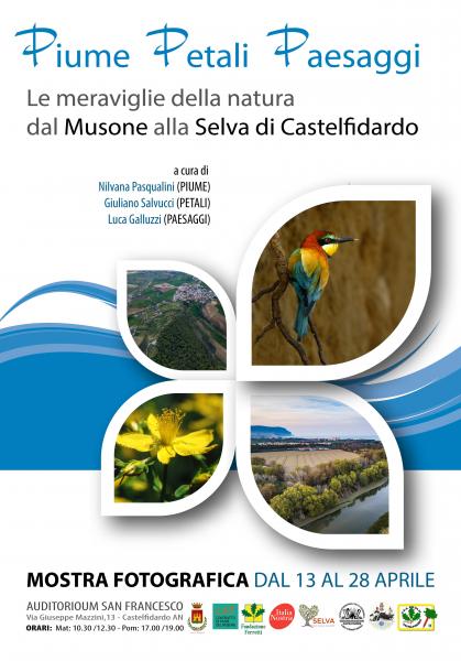 PIUME PETALI PAESAGGI