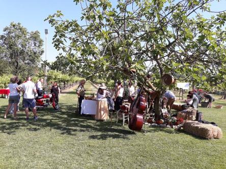 1°Maggio in Campagna