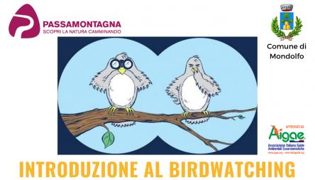 Introduzione al Birdwatching