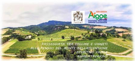 Aperi-Walk delle Colline Picene. Passeggiata + Aperitivo.